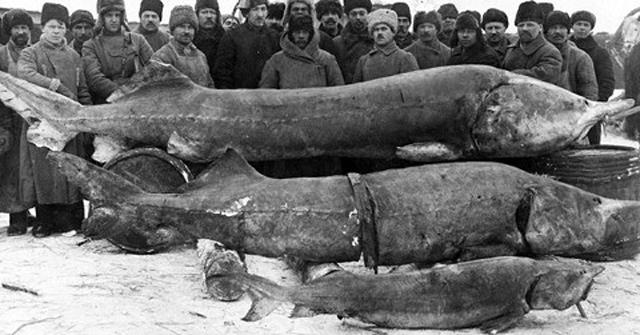 Marvel at 10 historical photos that have never been revealed