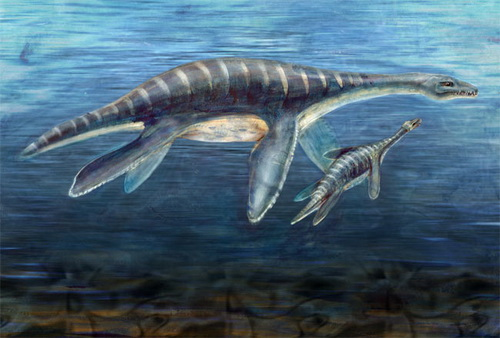 Marvel at ancient creatures