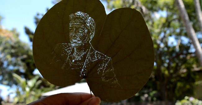 Marvel at portraits of photos engraved on leaves