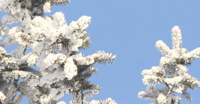 Marvel at the national park as 'fairy'