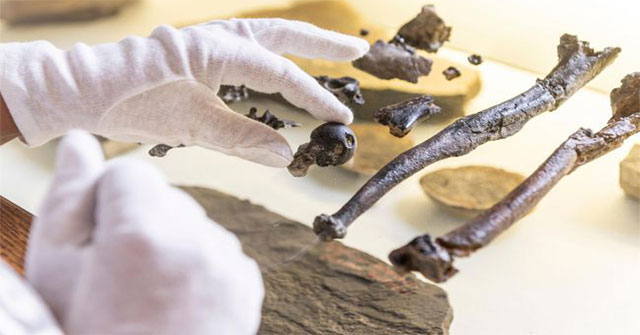 Marvel at the remains of strange creatures with human legs and gibbon arms