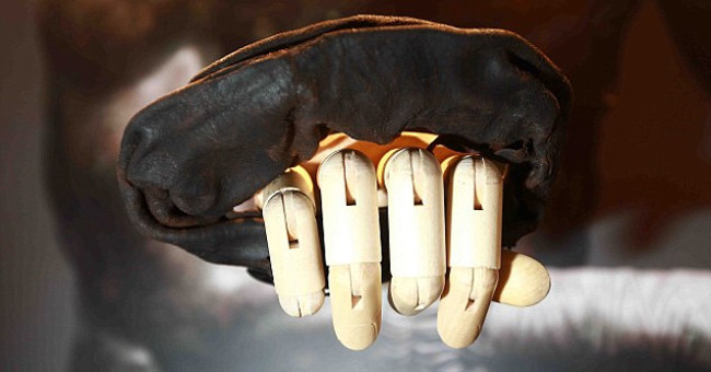 Marvel at the tools that help reduce the damage of ancient Roman warriors