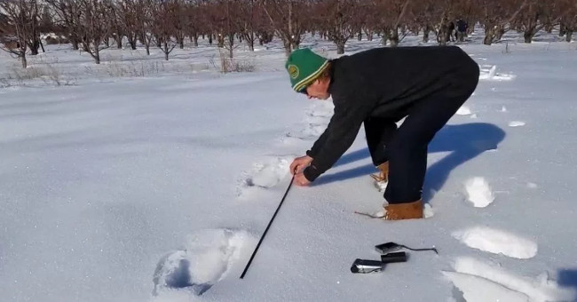 Massive footprints on the snow, suspected of being Bigfoot monsters