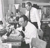 Master of Nobel Prize for Medicine in 1965 died