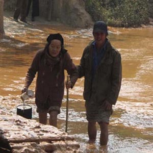 Material from red mud