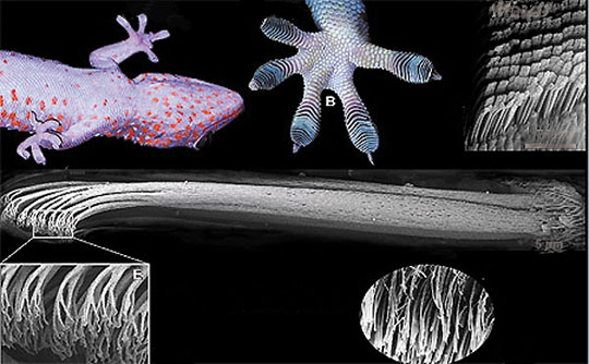 Materials simulating cilia
