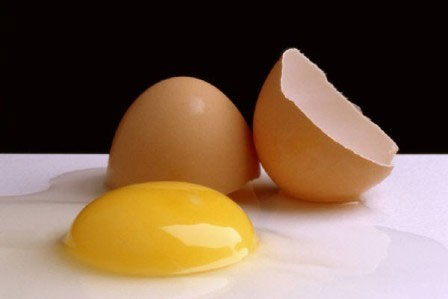 May be poisoned if laced with raw chicken eggs