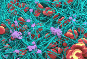 Means of controlling cell interaction