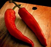 Measure the hotness of chili paste with nanotube