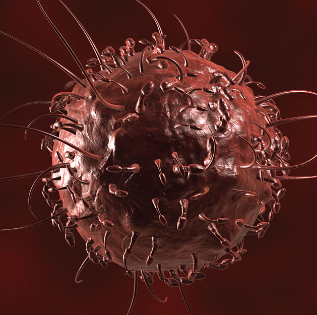 Mechanism of enzyme action helps to control cancer