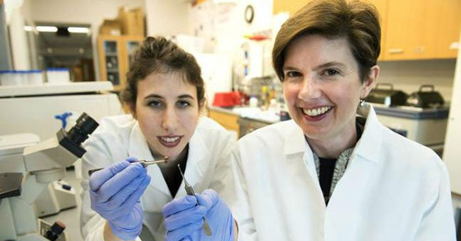 Medical progress makes people happy: Heart patch with 3D technology