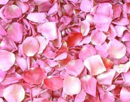 Medications from roses and pink flowers