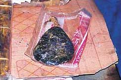 Medicines from animal bile