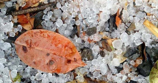 Meeting hail must definitely remember this knowledge