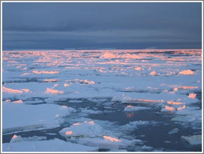Melting ice will cause a global food crisis