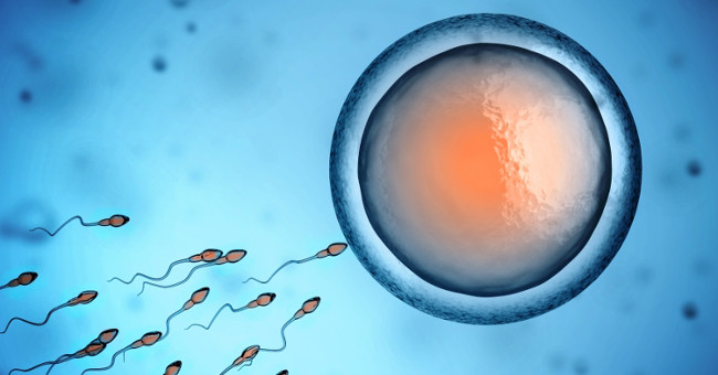 Men are about to cure infertility by an extremely simple method