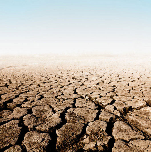 Men are more likely to commit suicide because of drought than women