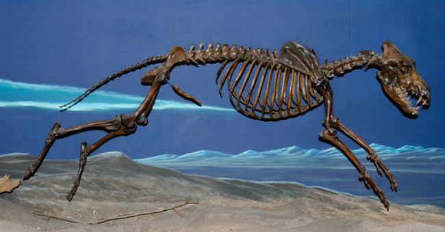 Men used to have bones at that place but because they were faithful, they were no longer there