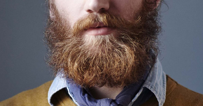 Men's polished beards can be even dirtier than the toilet