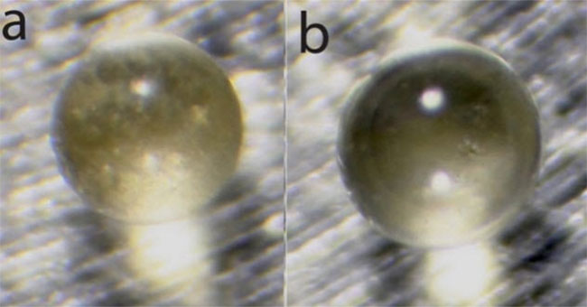 'Meteorite glass' picked up in Antarctica came from Vietnam
