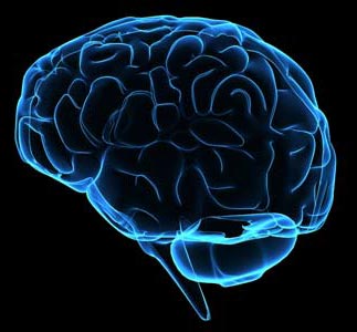 Method of hypothermia in treating brain damage