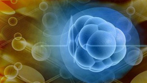 Methods for cancer cells to destroy themselves