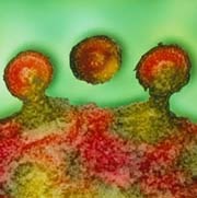 Methods to kill HIV-infected cells with radioactive antibodies