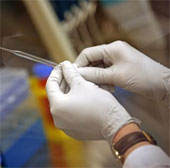 Mexico focuses on promoting the creation of stem cell banks