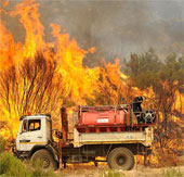 Mexico promotes the protection of dry season forests