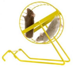 Mice run faster if given excellent oil