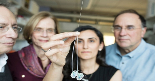 Micro needles take drugs to every corner of the brain