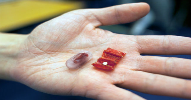 Micro robot takes an object that you swallow