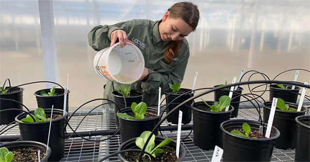 Microbial enzyme technology to keep CO2 for soil
