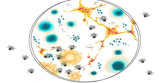 Micro-machines won the Nobel Prize for chemistry can kill cancer cells