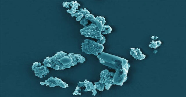 Microorganisms like to eat meteorites