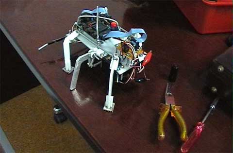 Micro-robots are capable of exploring the universe