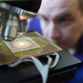 Microscopic movement of microscopic particles
