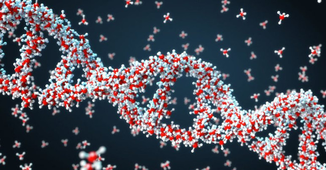 Microsoft bought millions of DNA strands to store data