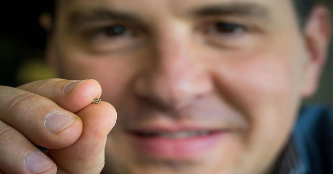 Microsoft successfully integrated a micro-AI system into Rasberry Pi 3
