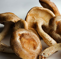 Mighty warriors fight cholesterol