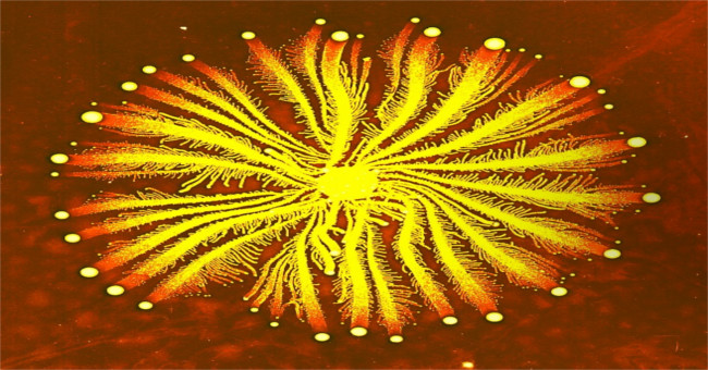 Million years old bacteria are resistant to 70% of modern antibiotics