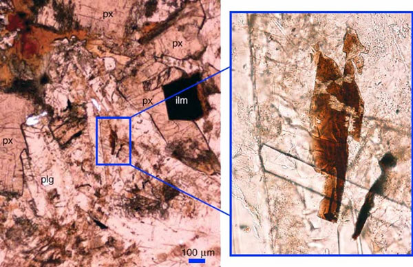 Minerals in the Moon are found abundantly in Australia