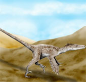Miniature dinosaurs into birds