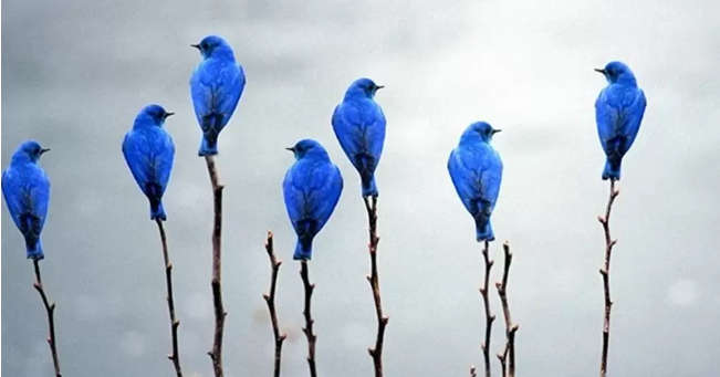 Minimalistic photos and beautiful quality