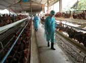 Ministry of Health: Prepare major rehearsals