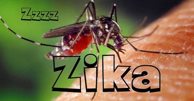 Ministry of Health warned Zika virus circulated in the community