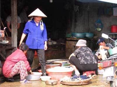 Ministry of Health warns: There is a risk of H5N1 mutation