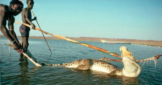 Minorities, living as primitive, hunted hippos and crocodiles to eat meat