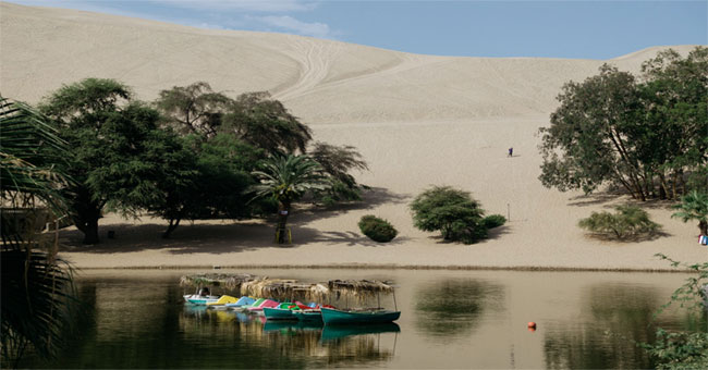 'Miracle' in the town located in the world's most arid desert