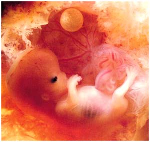 Miraculous abilities of babies